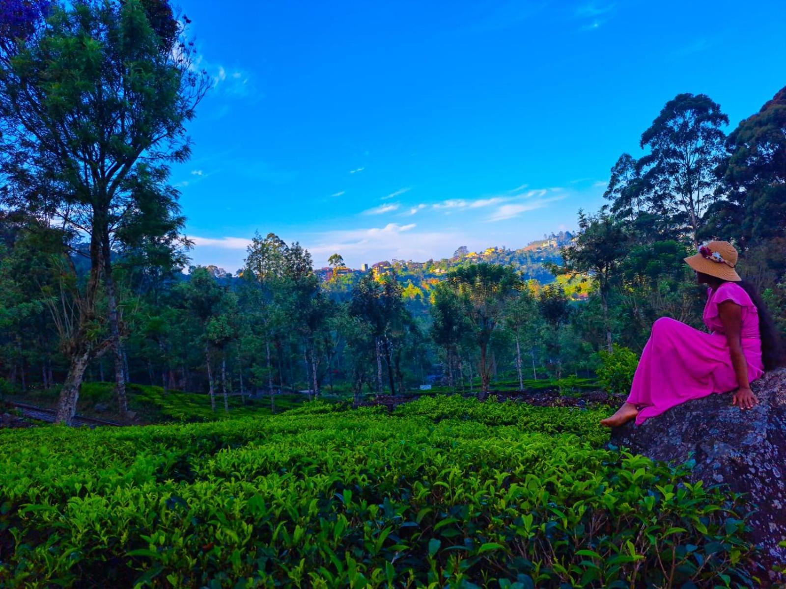 Awinco Haputale Hotel Ruang foto